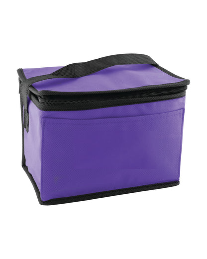 6-Pack Non-Woven Cooler Bag